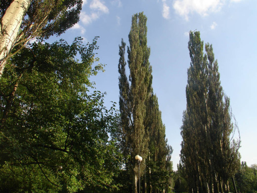 29912 (a): :1024x768